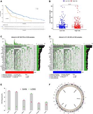 Construction and Validation of a 6-Ferroptosis Related Gene Signature for Prognosis and Immune Landscape Prediction in Melanoma